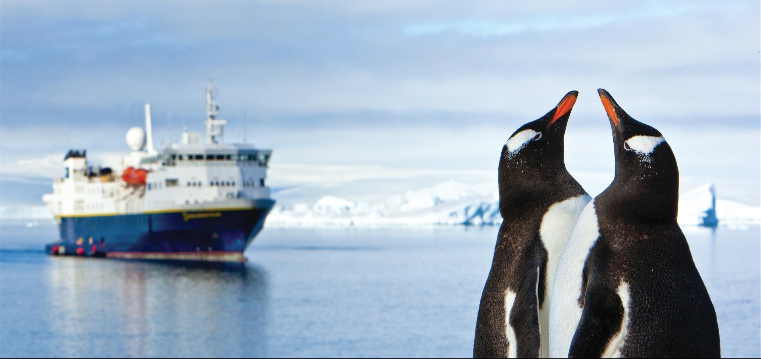 Antarctica cruises